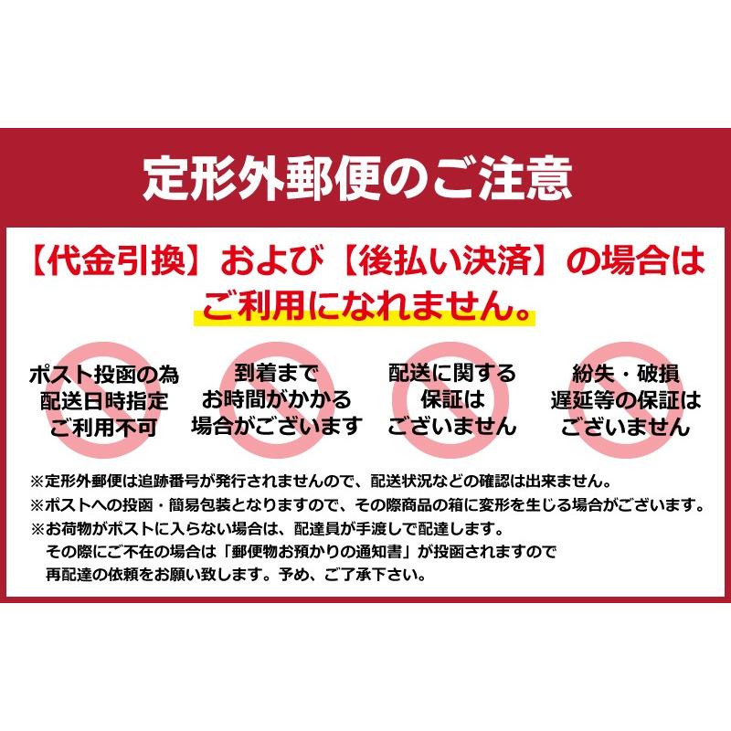 防犯ブザー 防犯アラーム お知らせブザー お試しセット 初回限定 お一