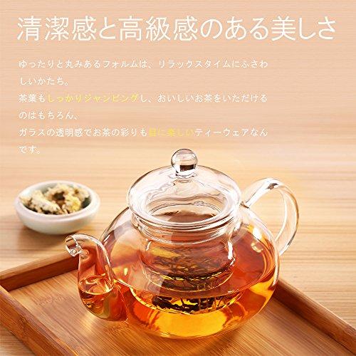 Nature Park 耐熱ガラス ティーポット 紅茶 ティーポット 急須 ガラス おしゃれ 茶こし付 紅茶 ハーブティーポッ A B01h5c60bs 0704 He Yaヤフー店 通販 Yahoo ショッピング