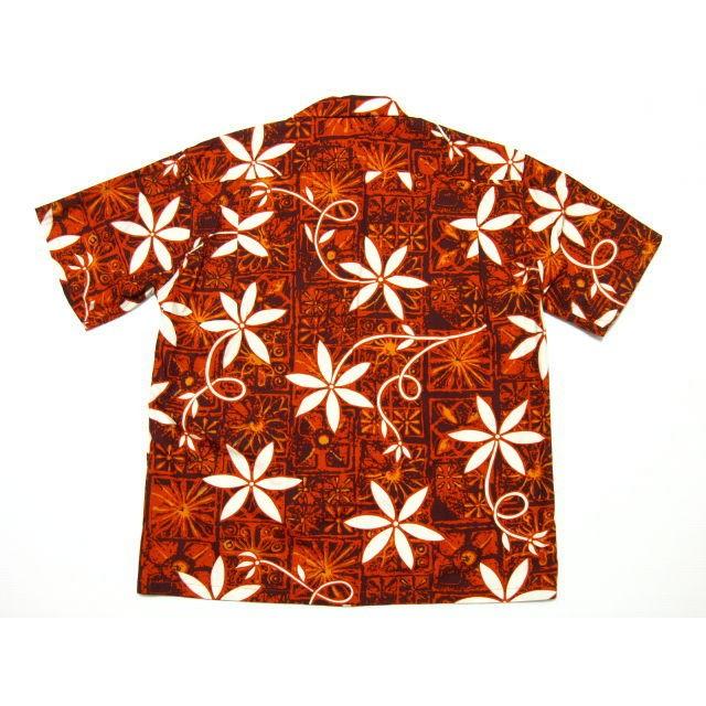 STYLE EYES スターオブハリウッド STAR OF HOLLYWOOD オープン