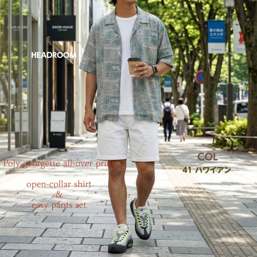 セットアップ メンズ 総柄 半袖 シャツ イージーパンツ ワイドパンツ