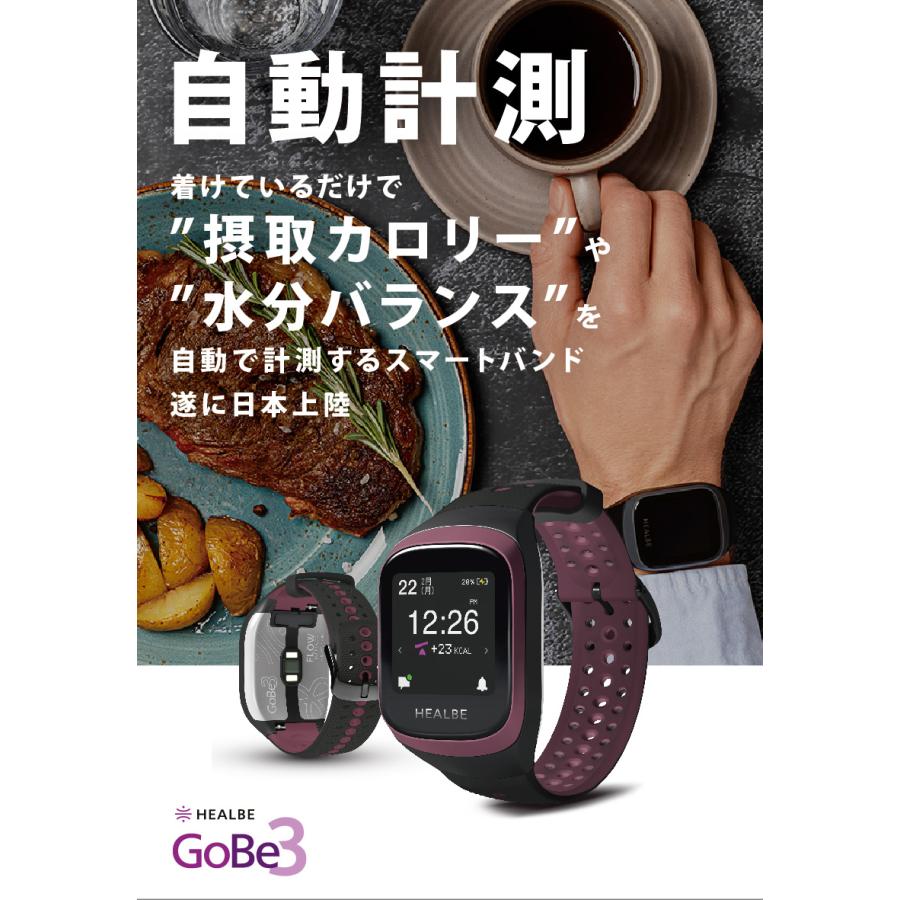 HEALBE ヒールビー GoBe3 ゴービー 摂取カロリー エネルギーバランス 水分バランス ストレスレベル スマートウォッチ HGB3-YW-BK