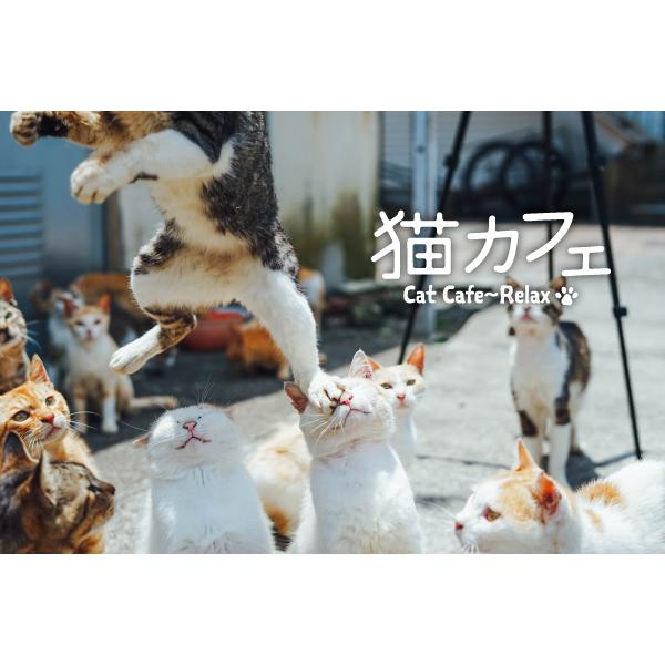 【公式ストア】試聴できます/猫カフェ〜リラックス ヒーリングミュージック CD BGM 癒しの音楽 ギター ジブリジャズ jazz イージーリスニング｜healingplaza｜06