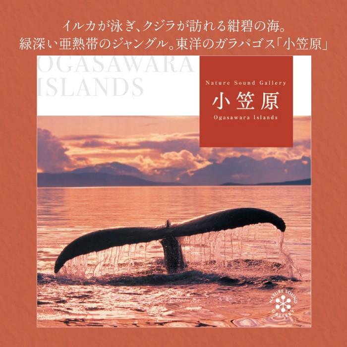 【クスリネ】音の波動CD 新品未使用 癒し ヒーリング [4枚セット] 公式】クーポン配布中 / 薬いらずの音楽(R) 不眠解消 ヒーリング