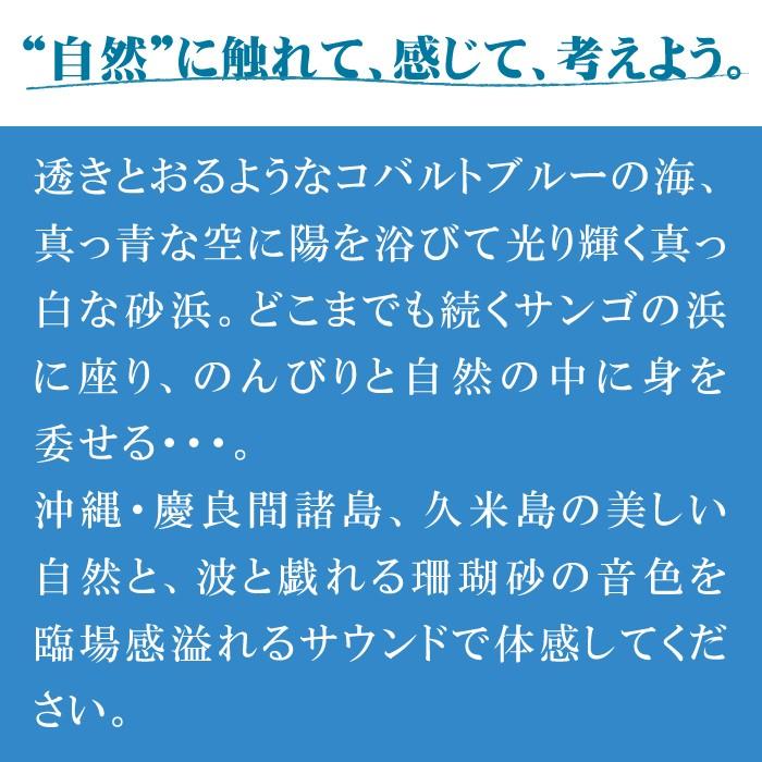 癒し グッズ ヒーリング Cd Bgm 波 慶良間 久米島ミュージック 海 自然音 波の音 母の日 ギフト リラックス 送料無料 ストレス 解消 音楽 試聴可 在宅 室内 Dlns 1 癒しの音楽 ヒーリングプラザ 通販 Yahoo ショッピング
