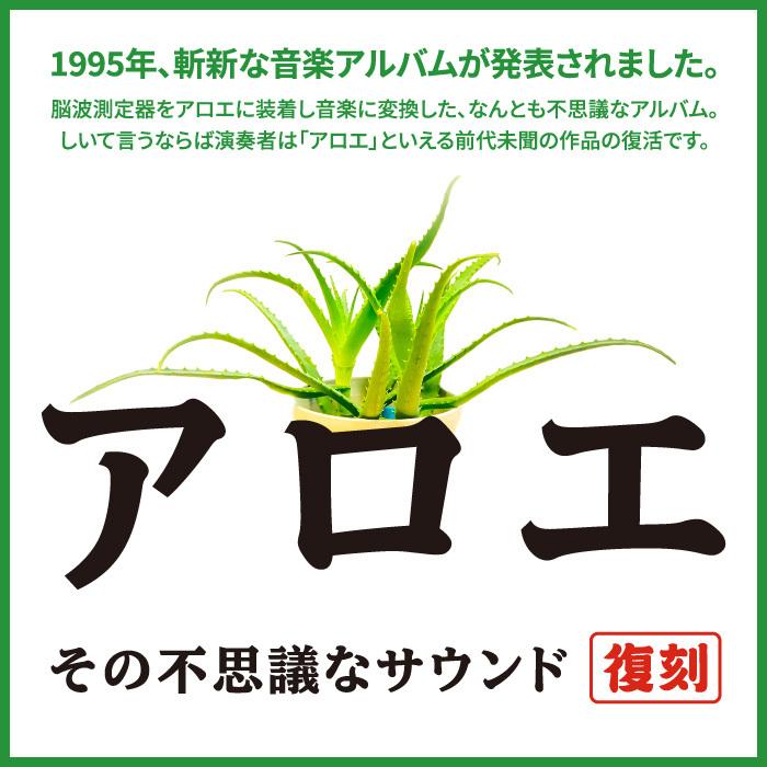 アロエ その不思議なサウンド ヒーリング Cd Bgm 音楽 試聴可 送料無料 曲 イージーリスニング 癒しグッズ リラックス ギフト プレゼント 集中 勉強 Nsg 501r 癒しの音楽 ヒーリングプラザ 通販 Yahoo ショッピング