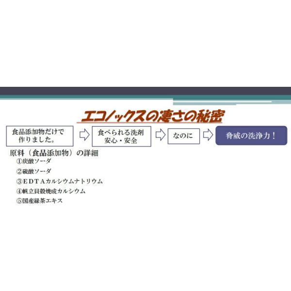 ECONOX エコノックス 400g』 : Healing Village ヤフー店 - 通販