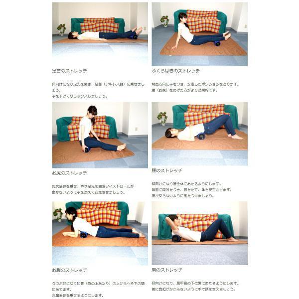 ライフ（LIFE） 【基本宅配便送料無料】 『LIFE FIT フィット ツイスト