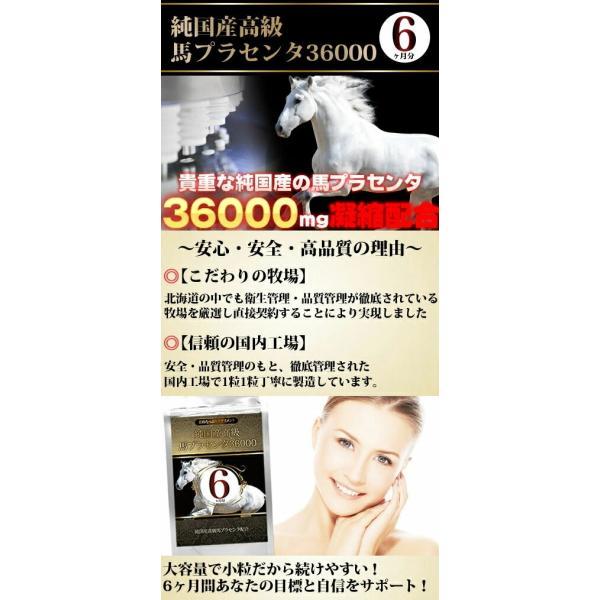 4個までゆうパケット送料200円※ 『純国産高級馬 プラセンタ 36000