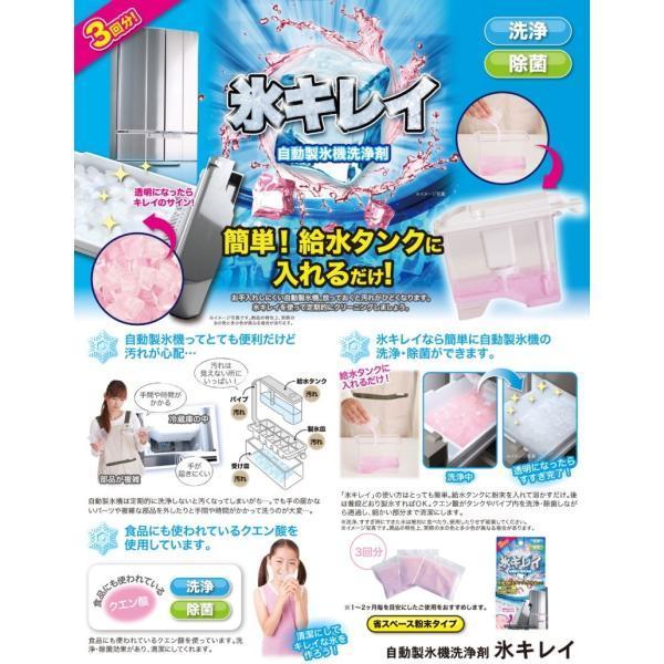 自動 製氷機 洗浄剤 氷キレイ 給水タンク洗浄 粉末タイプ クエン酸 除