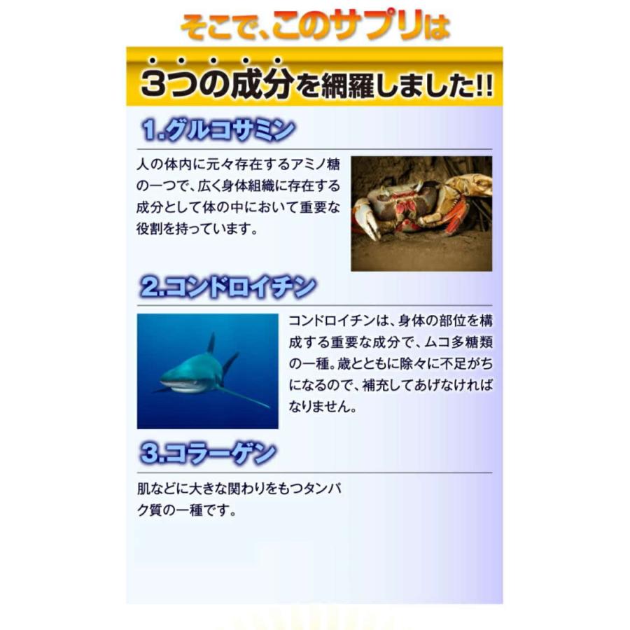 ※4個までゆうパケット送料200円※ 『約半年分 たっぷり大容量 グルコサミン+コンドロイチン+コラーゲン 540粒』 美容 健康 軟骨 成分 膝 股 関節 サプリメント｜healingvillage｜11