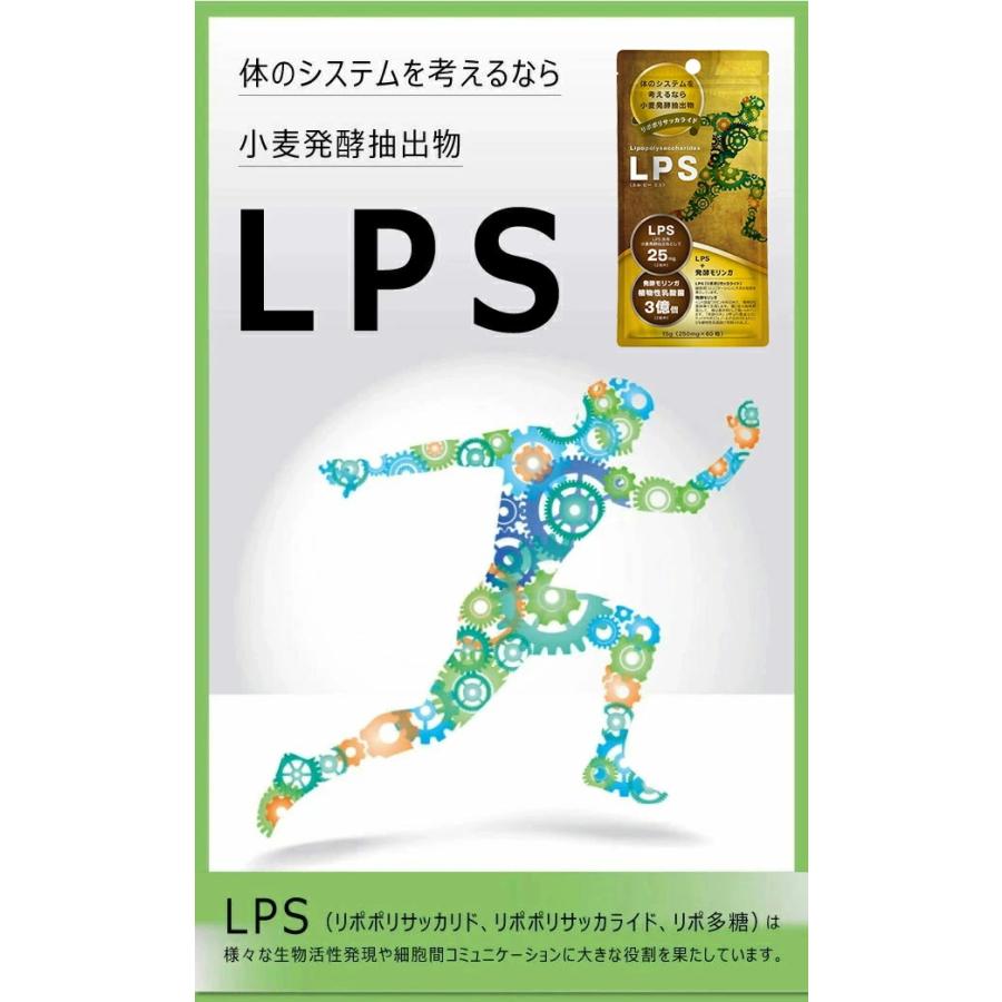 8個までゆうパケット・定形外郵便送料200円※ 『LPSサプリ 60粒入