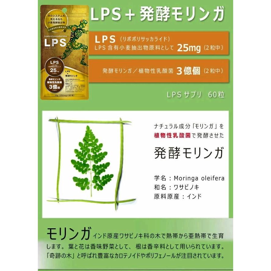8個までゆうパケット・定形外郵便送料200円※ 『LPSサプリ 60粒入