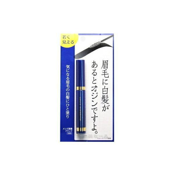 メンズ 眉墨 ブラック 男性用 アイブロウ 眉墨 自然な眉 男の眉メイク メンズコスメ【ゆうパケット・定形外郵便送料無料】（Yahoo!・Healing Village ヤフー店）