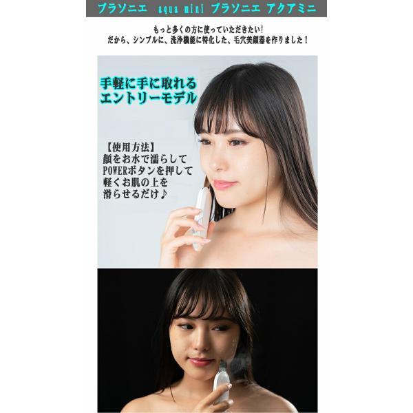 プラソニエ 【基本宅配便送料無料】 『pour-A-soigne アクアミニ