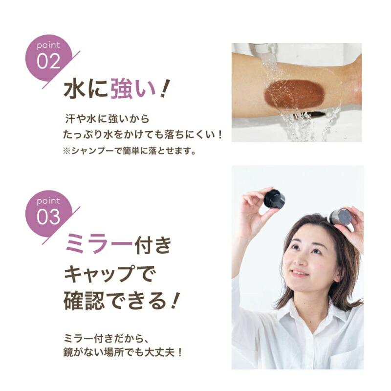 ポンポン ボリュームアップ 頭皮 ファンデーション 13g (CONCIERGE