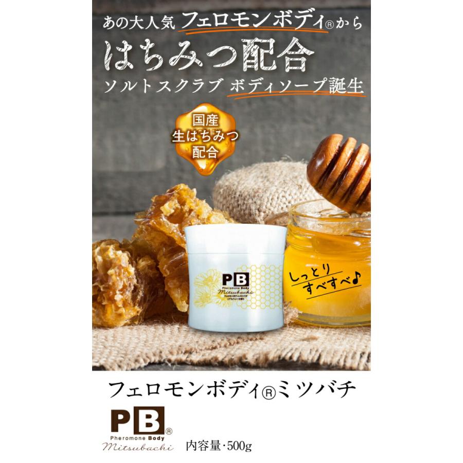 基本宅配便送料無料】 『フェロモンボディ ミツバチ 500g』 : Healing