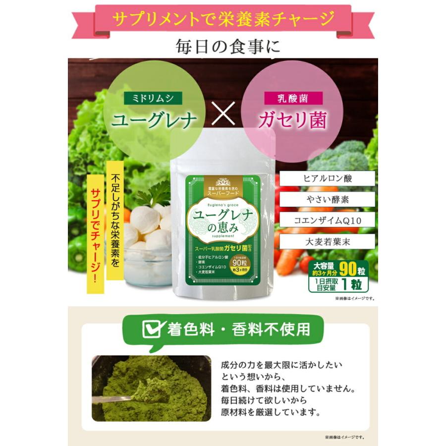 ゆうパケット送料無料 ギフト プレゼント ご褒美 ユーグレナの恵み 90粒