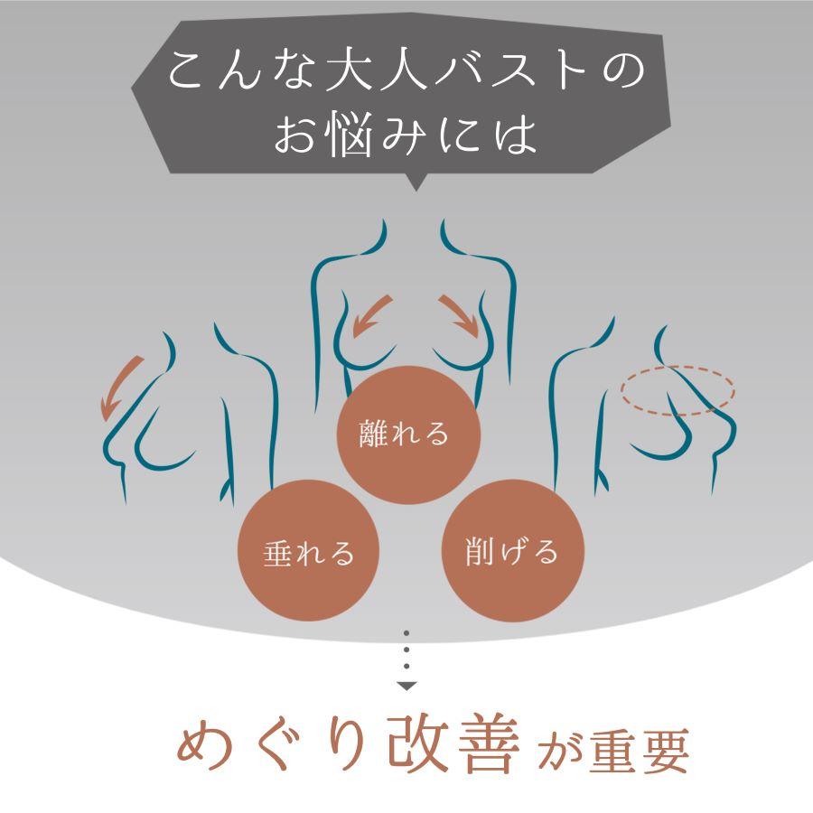 リカバリーインナー リカバリーウェア ナイトブラ ブラジャー ショーツ ガードル セット 通気性 補正 温活 healogy｜healogy｜10