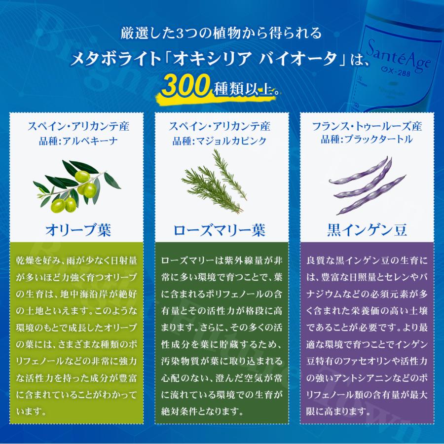 サンテアージュOX-288 ニナファーム180粒 サプリメント : santeage1 