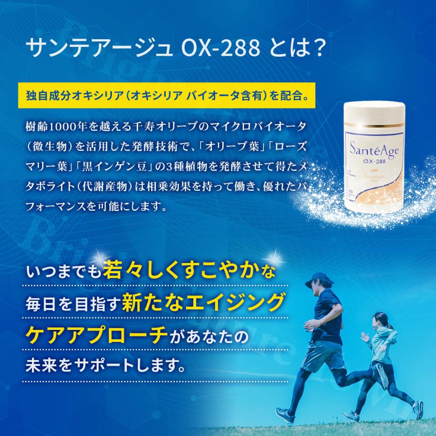 サンテアージュOX-288 ニナファーム180粒 3個セット サプリメント 
