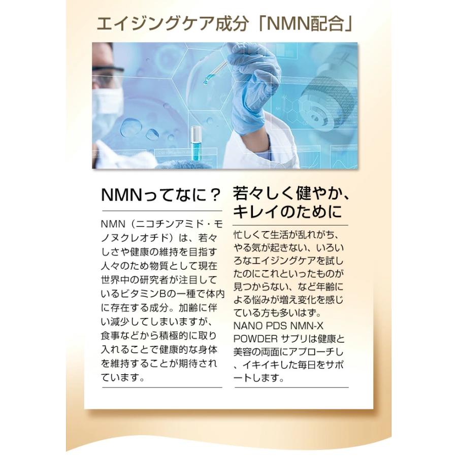 NMN-X NEXT Powder 30包 若返りサプリ アイテック 人気-