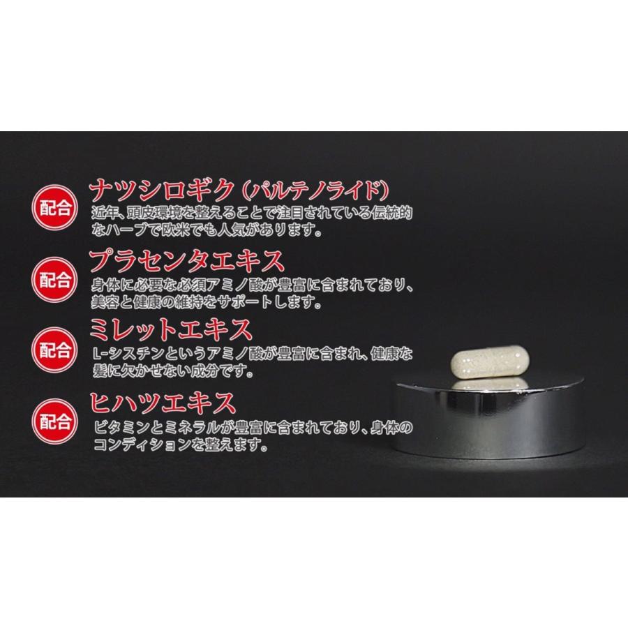 DDS SP100 POWER サプリメント アイテック 60粒×3 【公式通販】