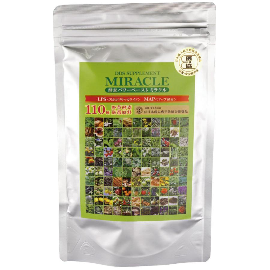DDS SUPPLEMENT サプリメント 酵素パワーペースト ミラクル 110種類の 