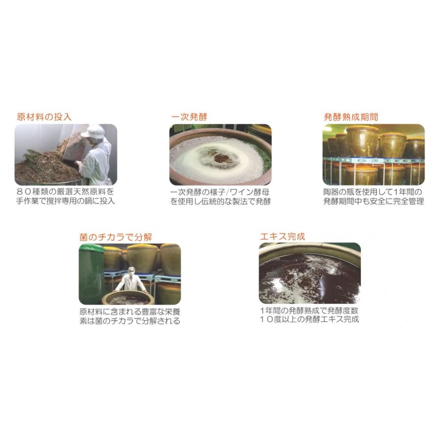 DDS SUPPLEMENT サプリメント 酵素パワーペースト ミラクル 110