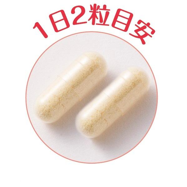 キューサイ ライラック01乳酸菌 191mg×60粒入 便通改善 サプリメント 乳酸菌入り 健康食品 善玉菌 腸内環境｜healthbank21｜03