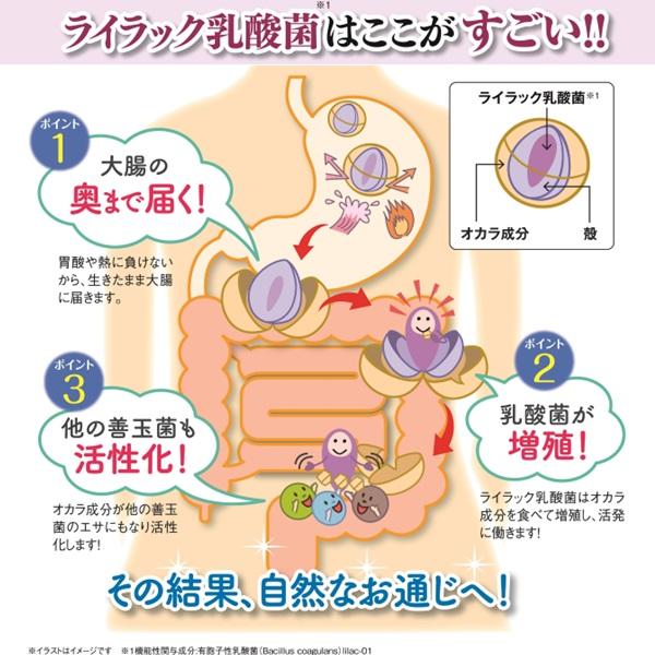 キューサイ ライラック01乳酸菌 191mg×60粒入 便通改善 サプリメント 乳酸菌入り 健康食品 善玉菌 腸内環境｜healthbank21｜05