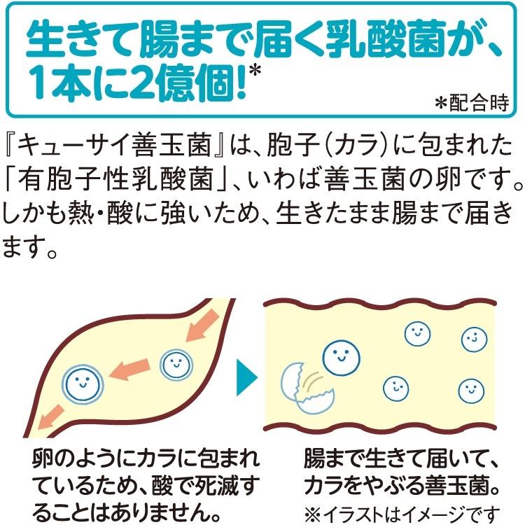 キューサイ 善玉菌 14本入 6袋まとめ買い 粉末 パウダー サプリメント 飲みやすい 健康飲料 健康食品 乳酸菌入り 健康ドリンク｜healthbank21｜04