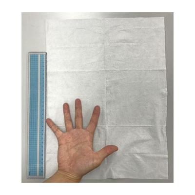 ウェットタイプ 清拭タオル ハビナース　からださわやか清拭タオル / 1005639　特大　30枚入 高齢者・介護・ピジョン |  | 01