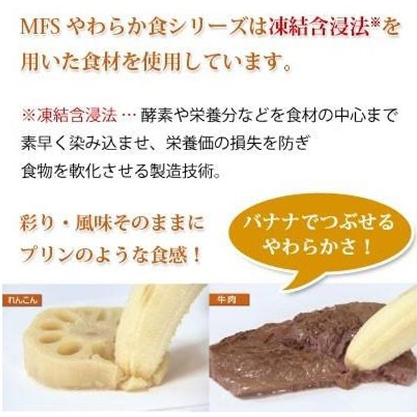 送料無料 MFS 介護食 やわらか栄養強化食 6食分 お試しセット