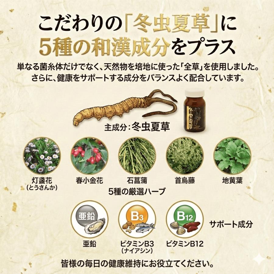 冬虫夏草 エキスゴールド 栄養機能食品 1ヶ月分 : ヘルスサイエンス