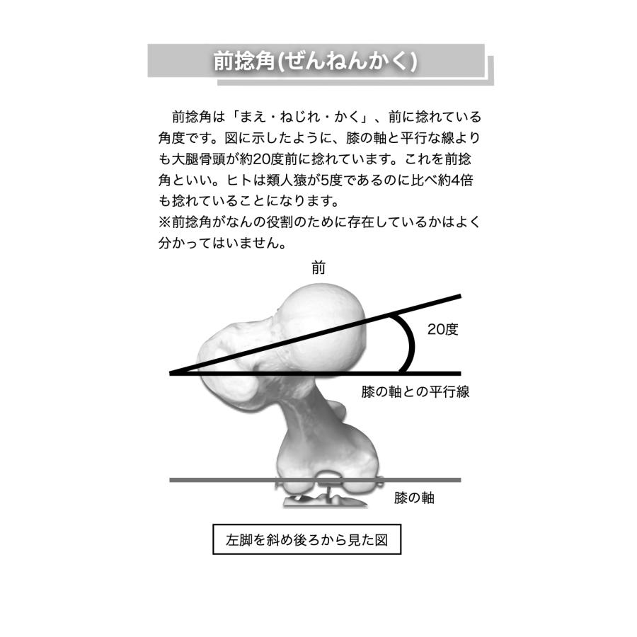 アーサナ手帳　内股ヨガ |  | 02