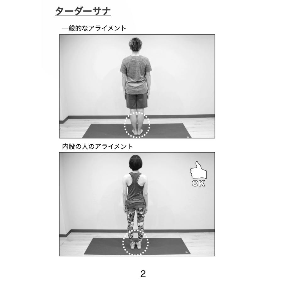 アーサナ手帳　内股ヨガ |  | 03