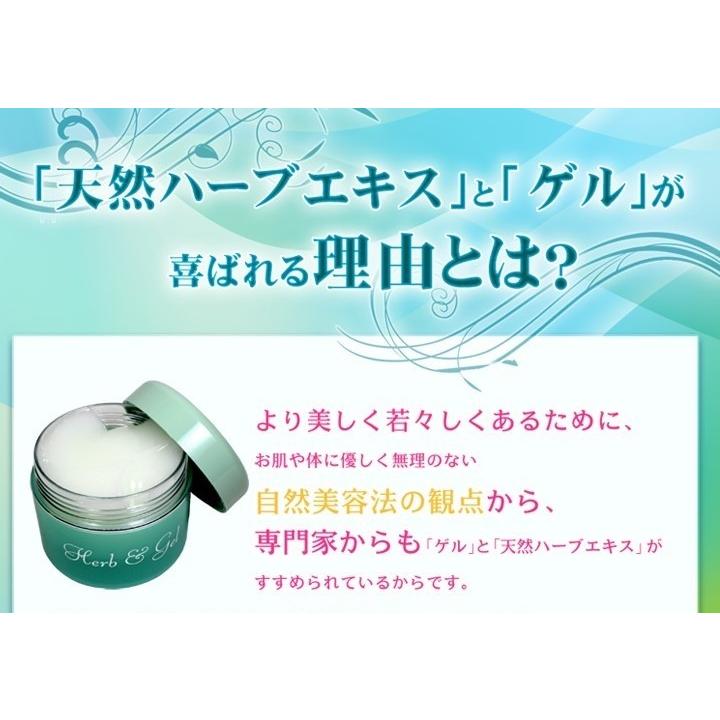 ハーブ＆ゲル 120g 3個セット (水性ゲル状保湿クリーム) : ヘルシー