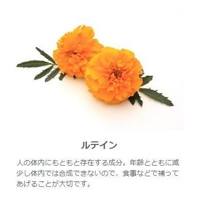 きらりとすてき 90粒 ビルベリー、ルテイン、クロセチンが1粒にギュッ 