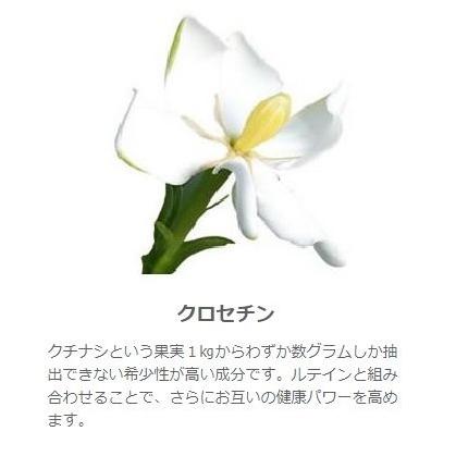 きらりとすてき 90粒 ビルベリー、ルテイン、クロセチンが1粒にギュッ 