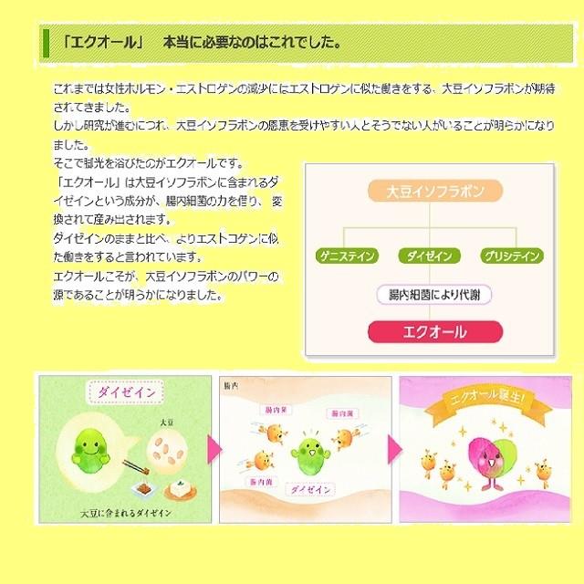 大塚製薬　エクエル　112粒　EQUELLE 3箱セット　値下げ不可 大塚製薬 エクエル 112粒入 ボトル 3個セット エクオール