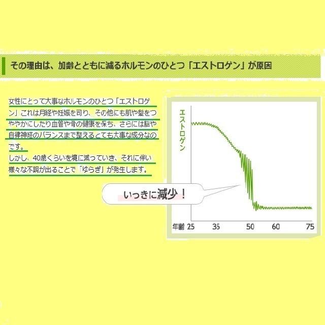 エクエル 120粒入 パウチ 6個セット エクオール 大塚製薬 EQUELLE