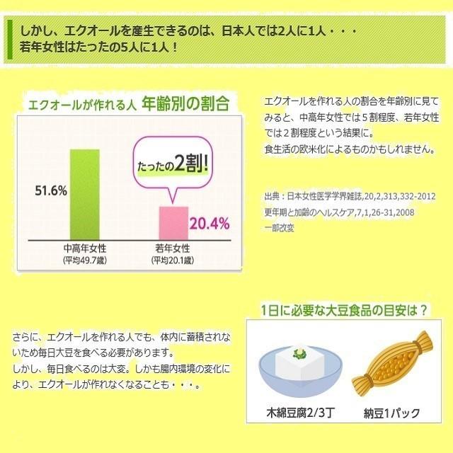 エクエル 120粒入 パウチ 6個セット エクオール 大塚製薬 EQUELLE