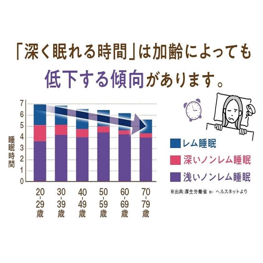 小林製薬 ナイトミン 眠る力 快眠サポート 20粒（20日分） : ヘルシー