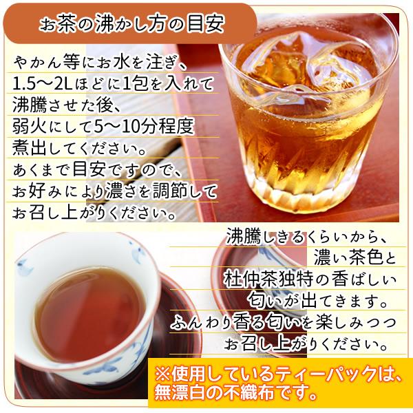 ヘルシーカンパニー 国産 杜仲茶 3g×30pc 無農薬 メール便 送料無料