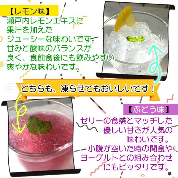 ヘルシーカンパニー リニューアル 送料無料 ためして寒天 詰め合わせ12