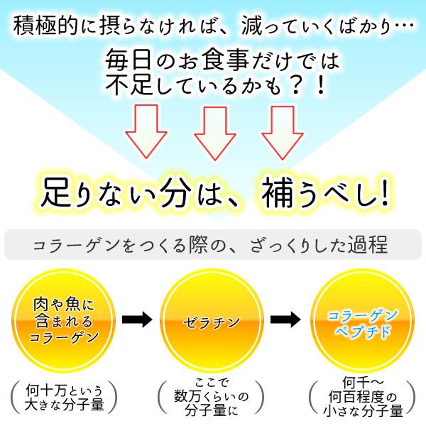 超低分子おさかなコラーゲン（フィッシュコラーゲンペプチド100％）微顆粒 150ｇ メール便 送料無料｜healthy-c｜06