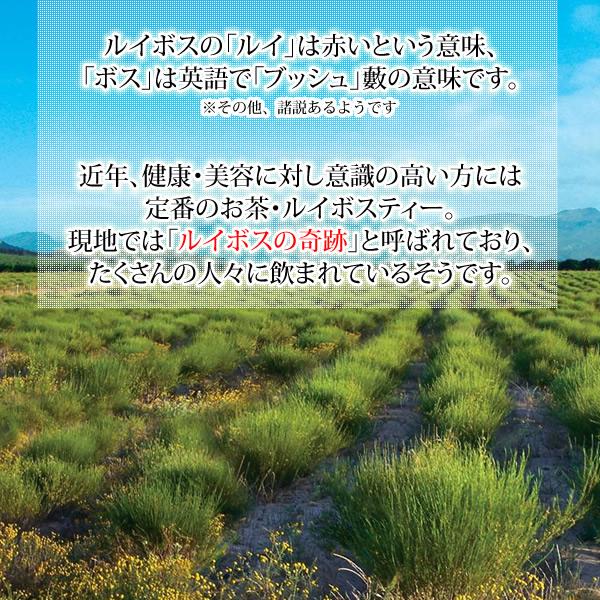 ルイボスティー オーガニック 有機栽培 ティーバッグ 5ｇ×50包  送料無料 セール特売品 | ヘルシーカンパニー | 04