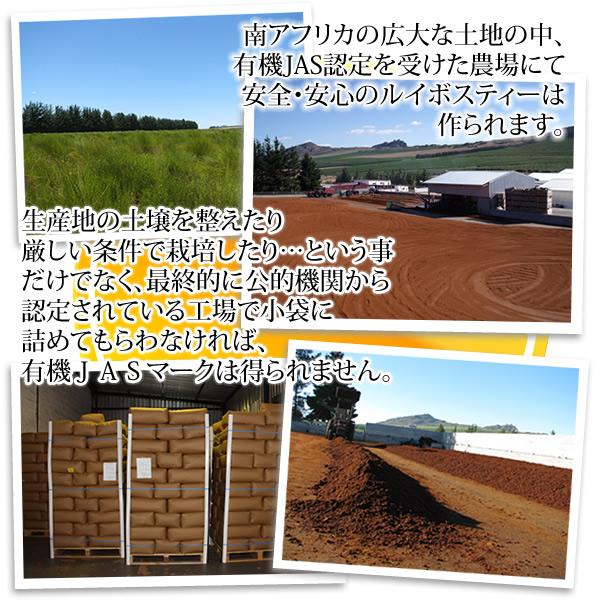 ルイボスティー オーガニック 有機栽培 ティーバッグ 5ｇ×50包  送料無料 セール特売品 | ヘルシーカンパニー | 06