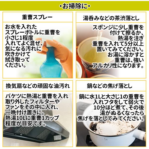 食用グレードの重曹（炭酸水素ナトリウム）950g「1kgから変更」日本製 メール便 送料無料 | ヘルシーカンパニー | 05