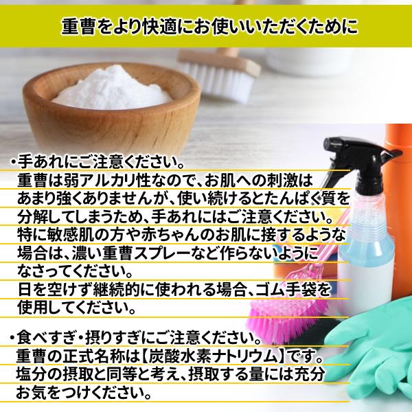 食用グレードの重曹（炭酸水素ナトリウム）950g「1kgから変更」日本製 メール便 送料無料 | ヘルシーカンパニー | 07